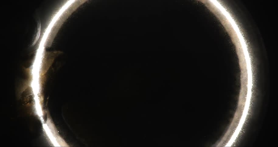 Abstract bright circle of light against a dark background