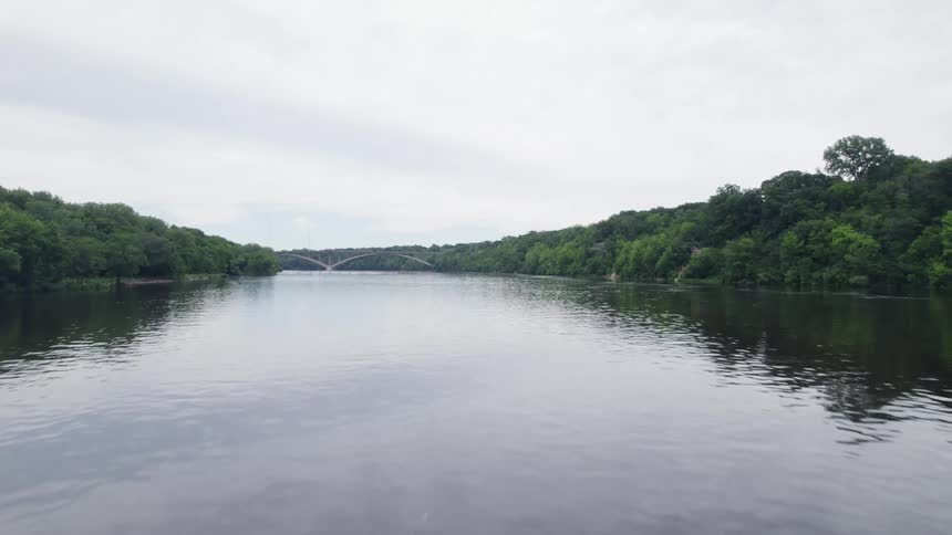 A river channel with a bridge in the background and surrounded by a forest