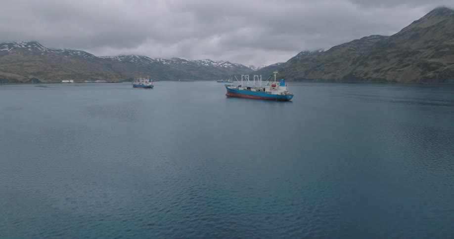 Aerial view of large industrial ships in an ocean surrounded by mountains