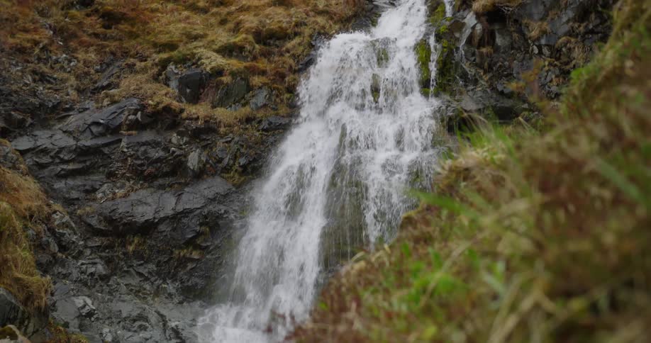 A waterfall cascades down a moss covered cliffside