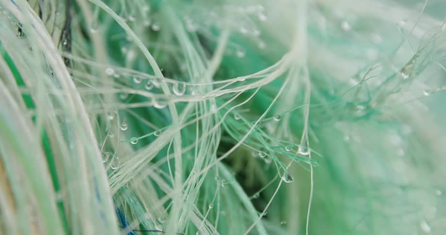 Strands of fishing nets with water droplets