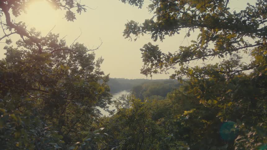 Sun shines down onto a river passing through the woods on an overcast day