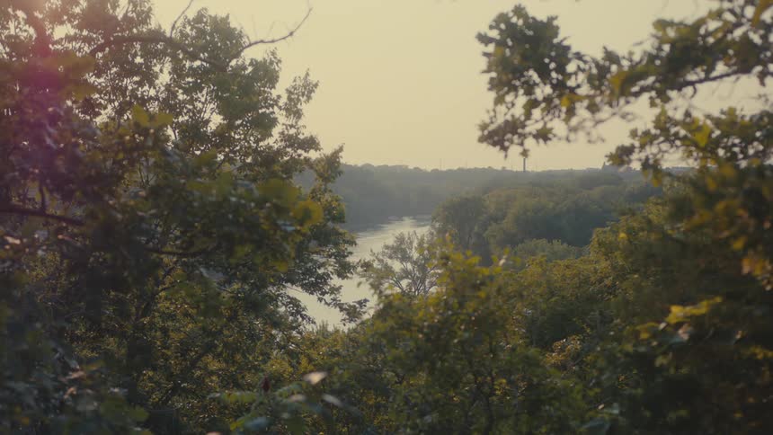 A serene river winds through a dense forest creating a picturesque natural scene