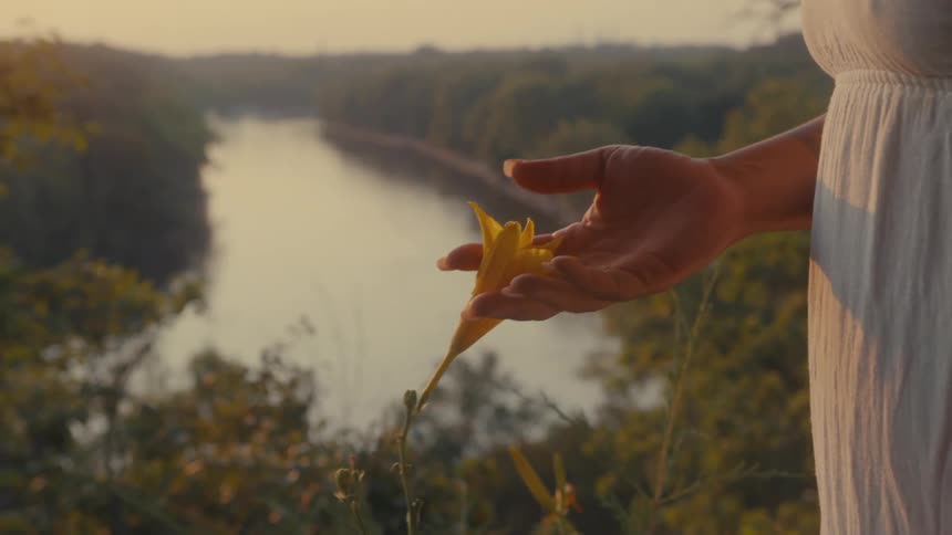 A womans hand gently cradles a vibrant yellow flower its beauty contrasting with the vastness of the river valley stretching out below