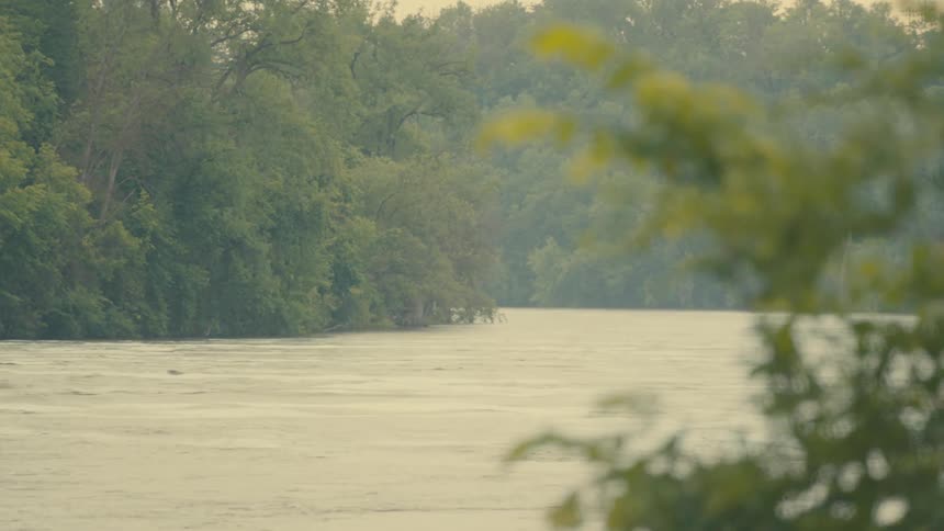 The river a ribbon of gold in the fading light meanders through a dense canopy of trees their leaves shimmering in the warm breeze as the sun dips below the horizon