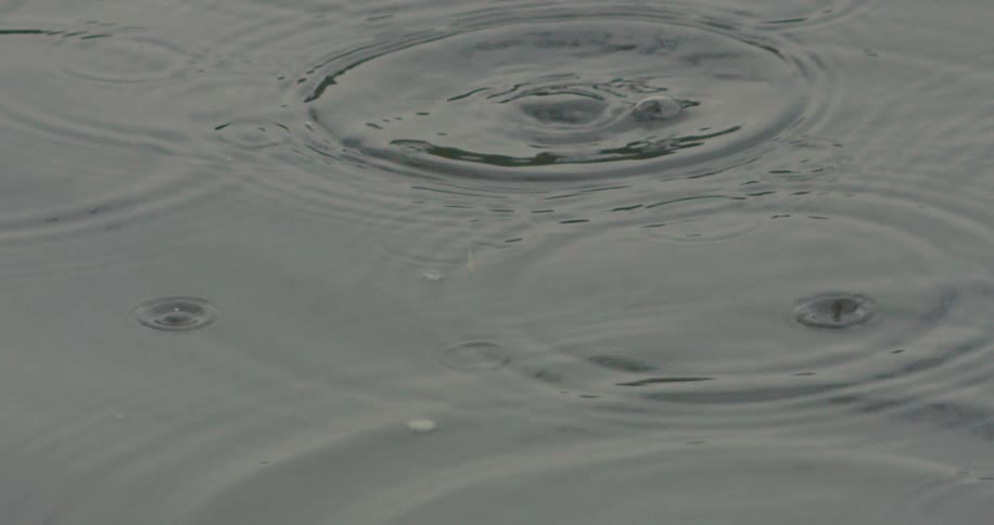 Raindrops falling into water and causing impact