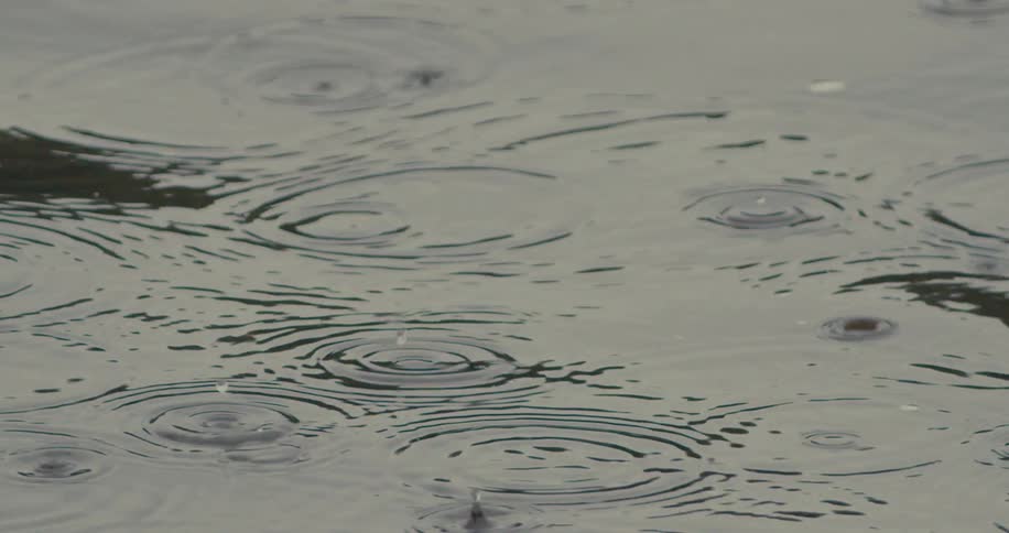 Raindrops are creating ripples on the surface of a calm body of water