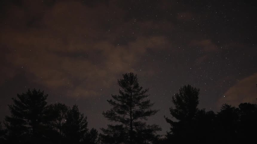 A silhouette of trees stand under the night sky as the clouds go by quickly in a time lapse