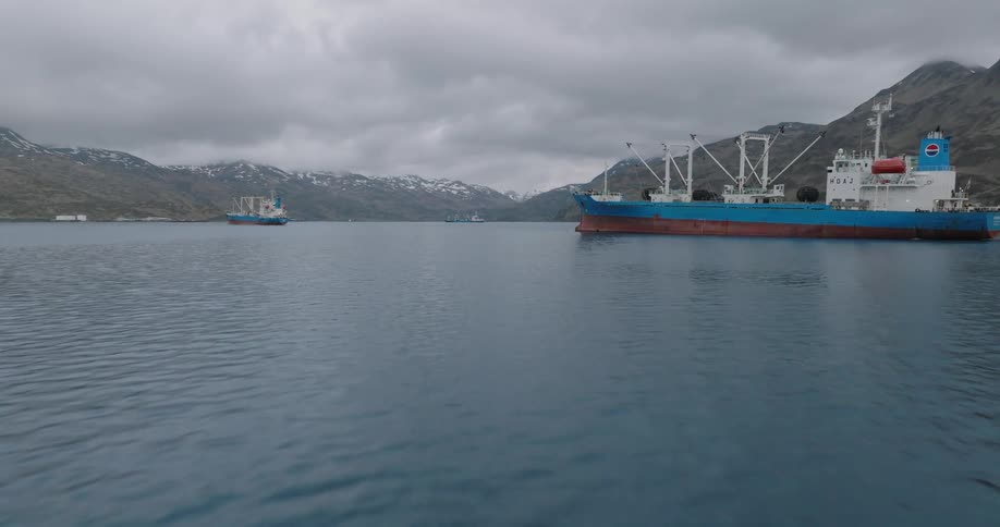 Two large cargo ships navigate the calm waters of a fjord framed by snowcapped mountains and an overcast sky