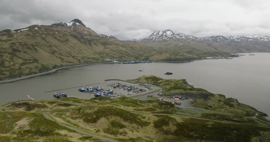 Boat marina clings to the shoreline a cluster of colorful buildings nestled amidst verdant hills while a fleet of fishing boats rests peacefully in the bay their vibrant hulls reflecting the overcast sky