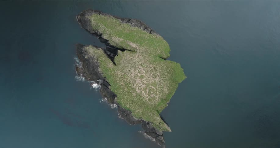 Aerial of an ocean island covered in green grass