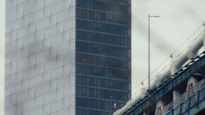 A bird flies over the bridge
