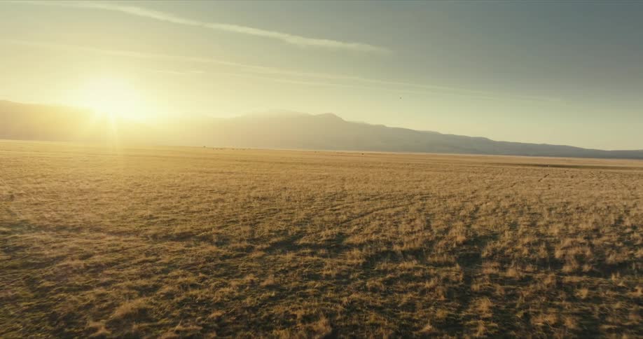 Landscape of a vast green field with mountains and the sunrise on the horizon