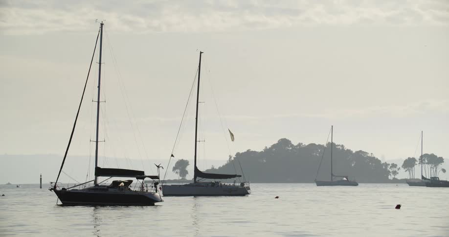 A clip of boats at the shore