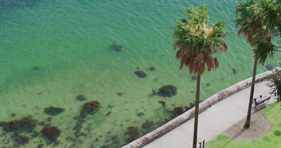A calm bay with crystal clear turquoise water where the seabed is visible below is bordered by a concrete walkway lined with tall palm trees that cast shadows on the path and the surrounding area