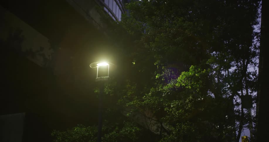 A clip of a building with a lamp out door