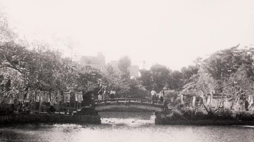 People stand and walk across a footbridge while water birds fly and swim nearby