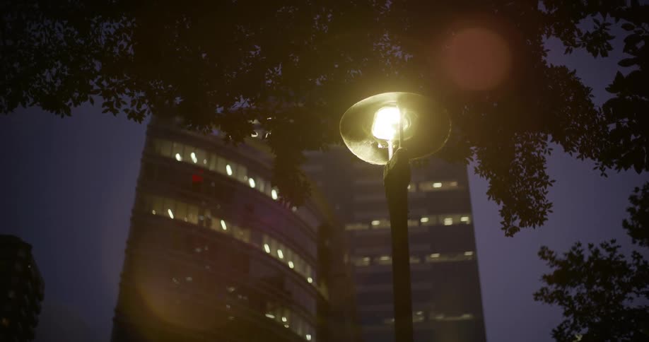 A streetlamp illuminates tree branches in front of a multistory building with lit windows