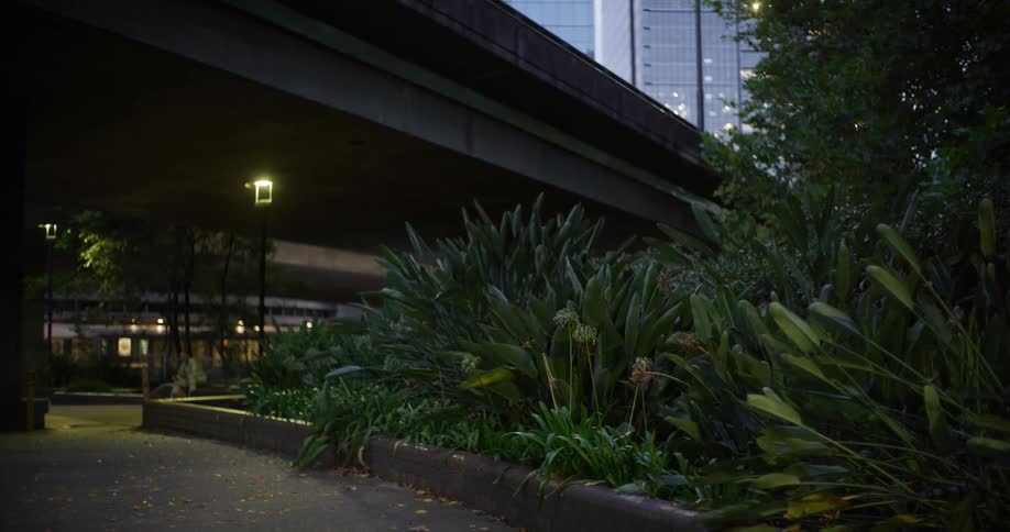 A dimly lit urban park area with lush green plants and trees under an overpass with tall buildings in the background
