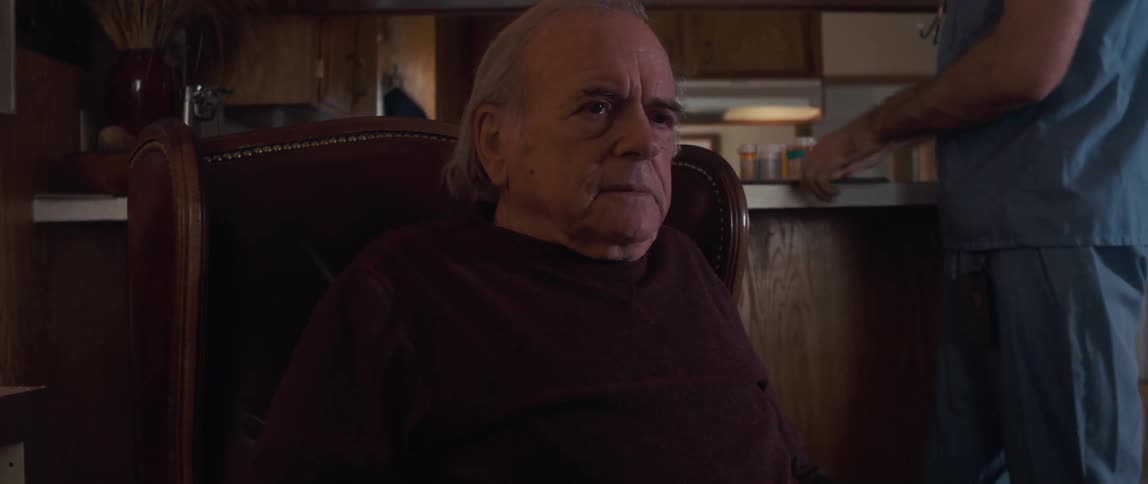 A male nurse cares for an elderly man in a cozy woodpaneled room at home
