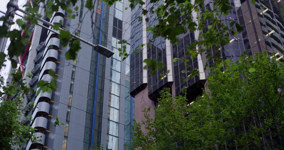A modern highrise building with reflective glass windows surrounded by lush green trees and red flowers