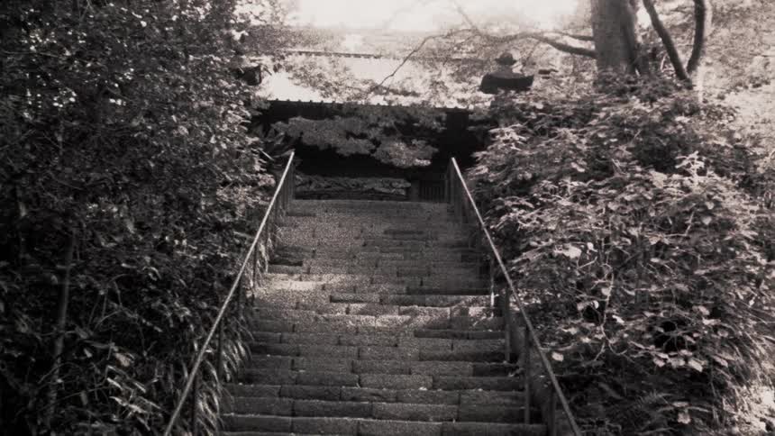 Stairs leading to a temple surrounded by vegetation