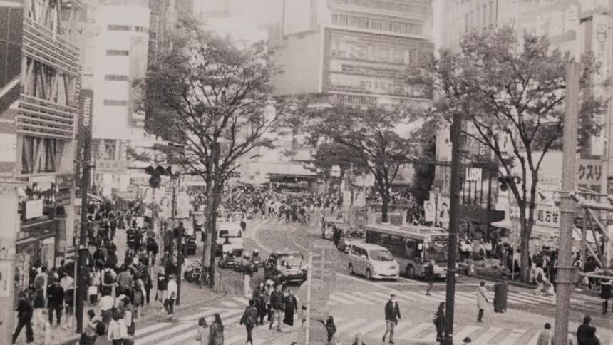 Crowd of pedestrians and vehicle traffic in a metropolis