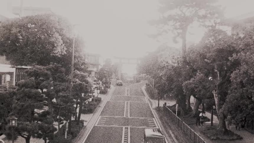 A quiet street lined with trees with a few cars driving down the center