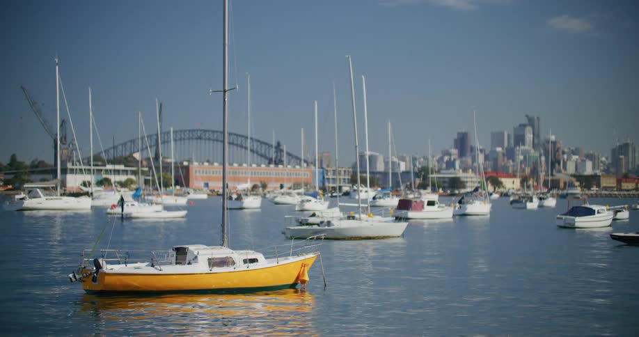 Sailboats anchored in a calm harbor with a city skyline and a large bridge in the background