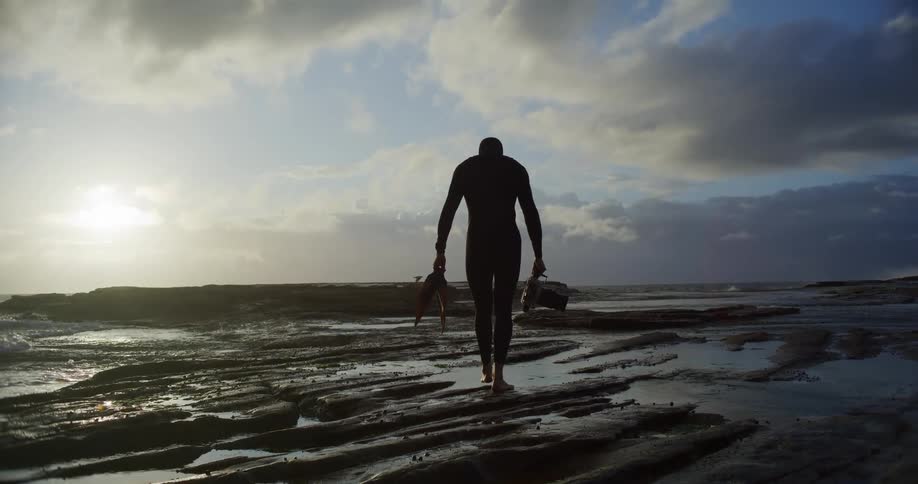 Birds fly past a man carrying a camera on the beach