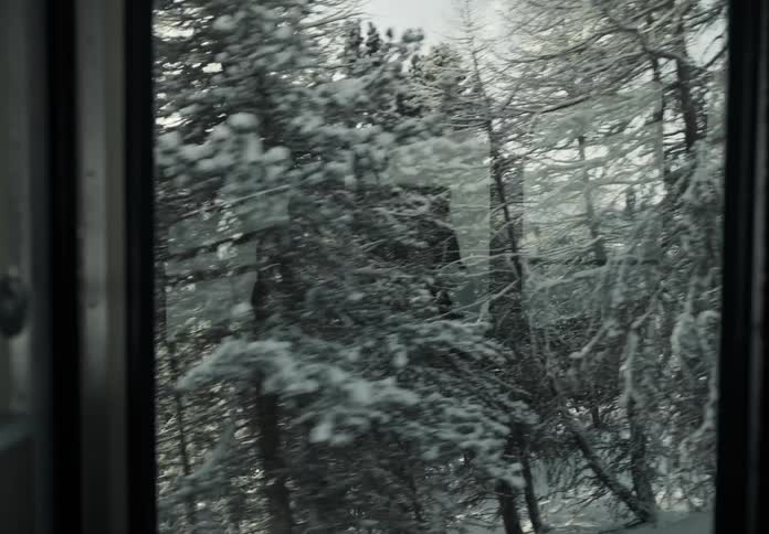 Moving view of a cable car over snowy coniferous mountains