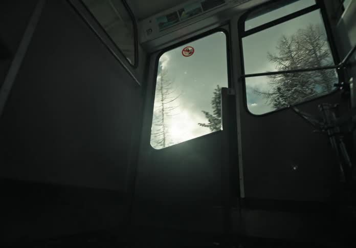 View from the window of a moving train to trees against a cloudy sky