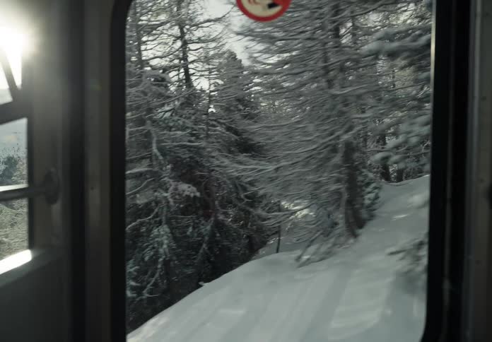 Landscape of mountains and conifers seen through the window of a moving cable car
