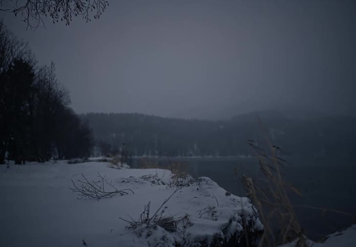 Melancholic winter landscape with snow covering the ground dry branches and a lake in the background