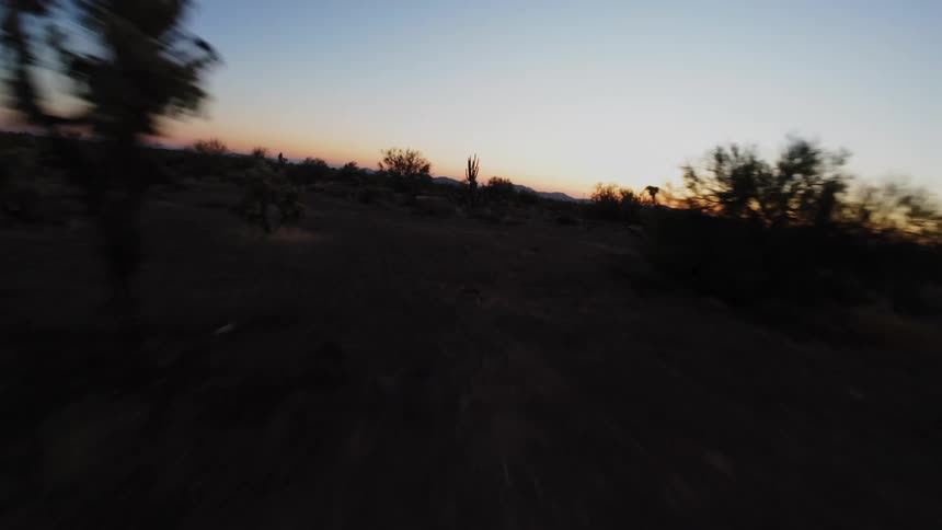 Aerial view of a place with sparse vegetation and the dawn sky