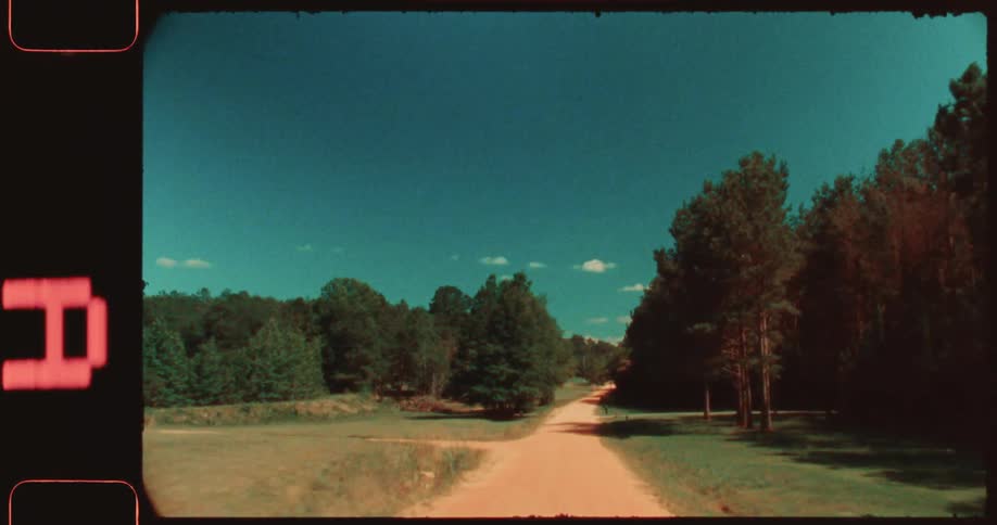Dirt road surrounded by green forest