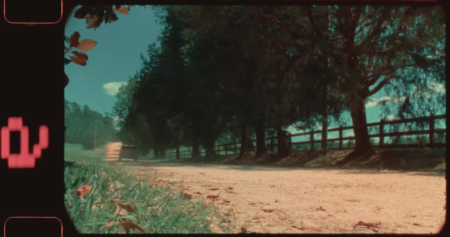 A vintage orange car drives down a dirt road lined with trees kicking up dust