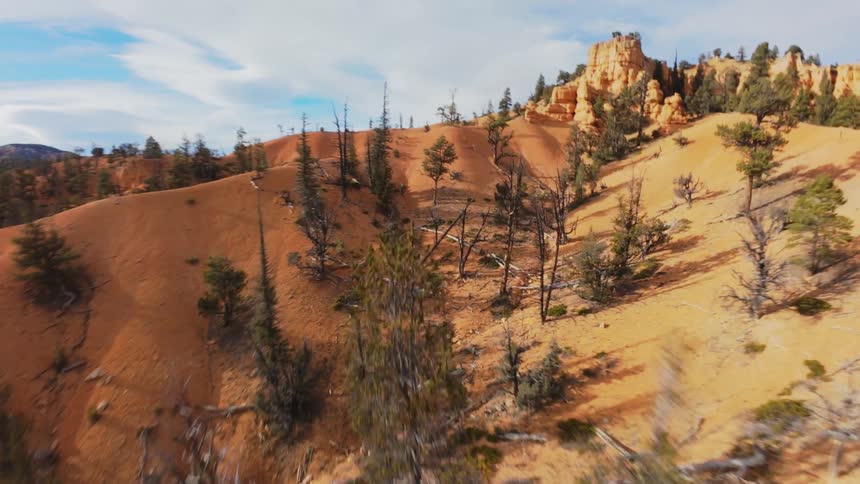 Aerial panorama of trees in mountains and canyons