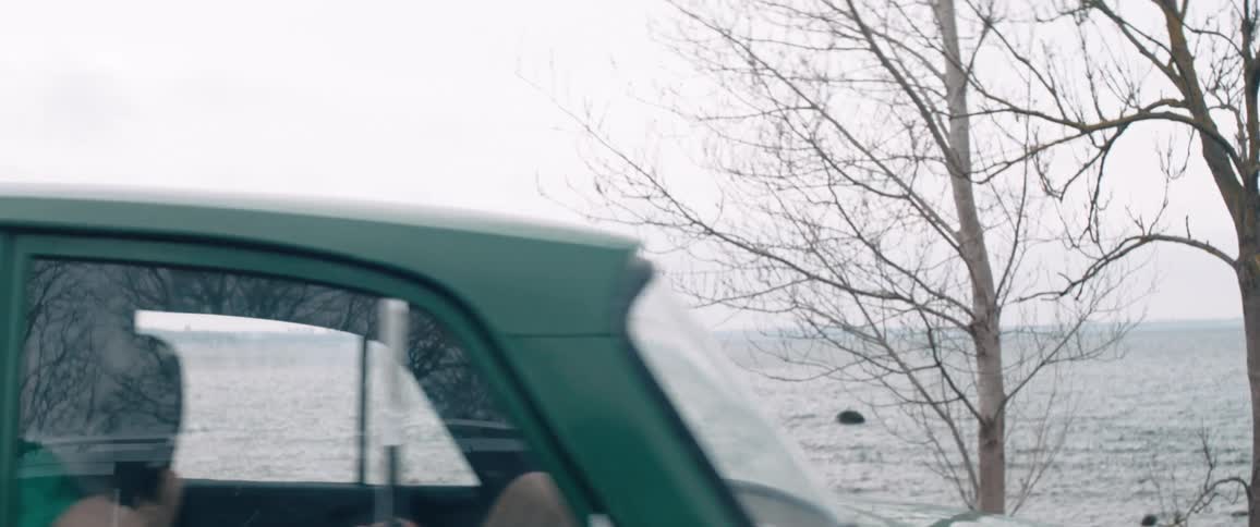 A woman with blonde hair joyfully raising her arm out of the open window of a moving green car with a bare tree and a cloudy windswept landscape in the background