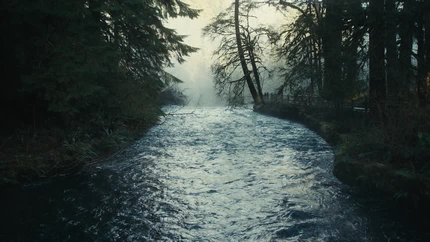 A peaceful forest scene with a gently flowing river surrounded by tall evergreen trees and mist in the background