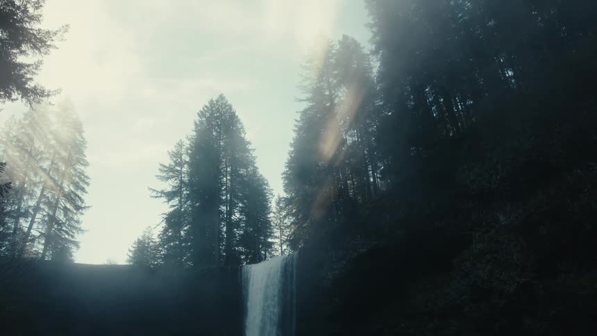 Fog covers the trees in a conifer forest near a waterfall