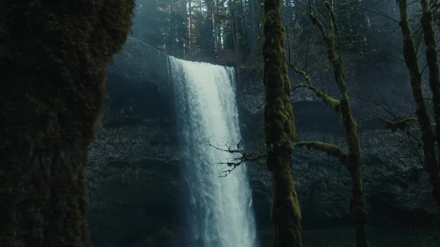 Water rushes over a waterfall deep in a forest
