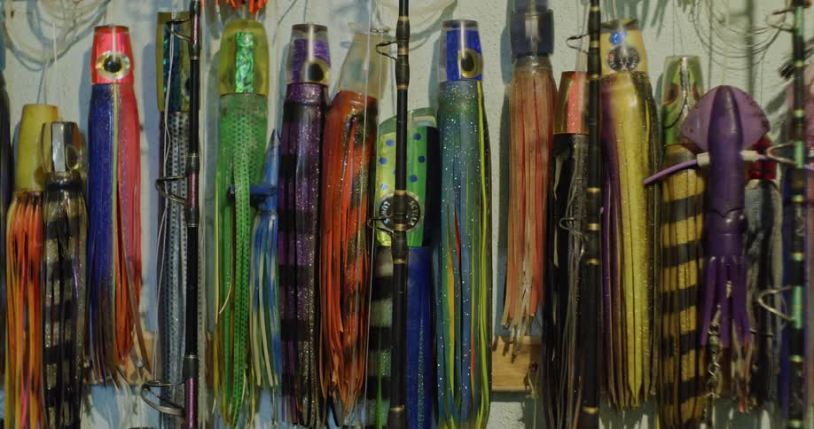 Several fishing lures are displayed together