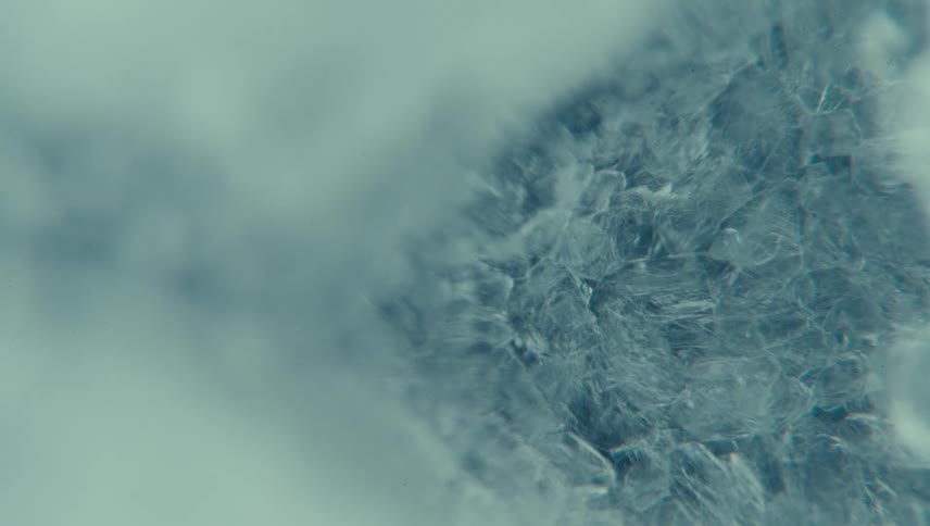 Ice crystals showcasing a delicate and intricate pattern of frozen water