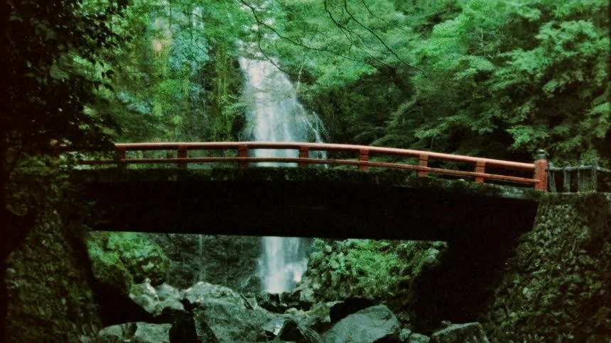A bridge connects in the middle of a heavily wooded area with a waterfall behind it