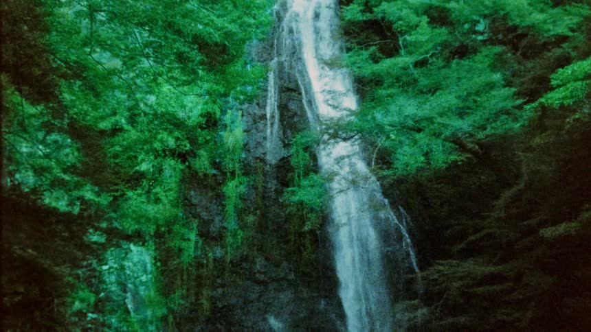A waterfall cascades down a mosscovered cliff surrounded by lush green foliage