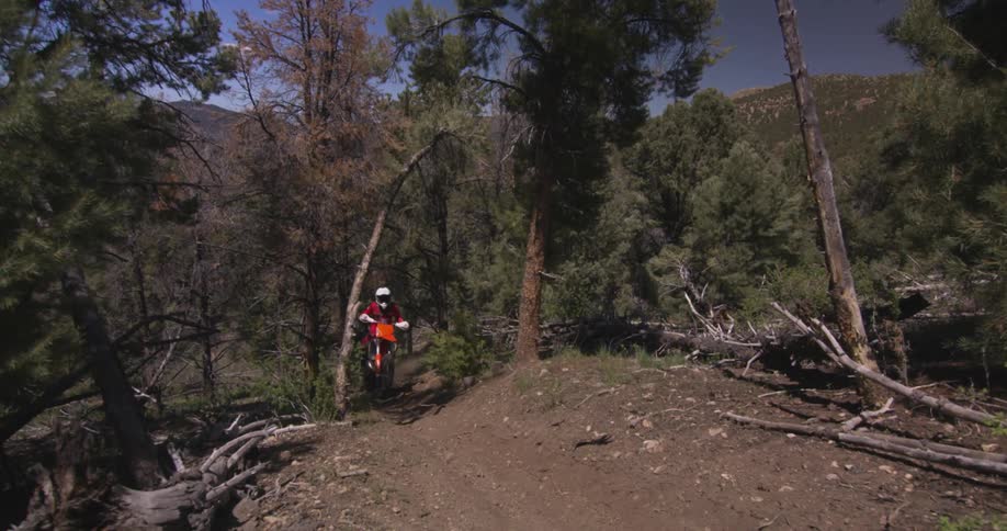 A person wearing red and black gear is riding a mountain bike on a narrow dirt trail through a dense forest