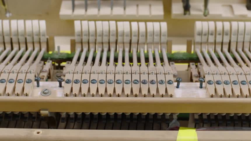 The inner workings of a piano are exposed showing the hammers and keys in detail