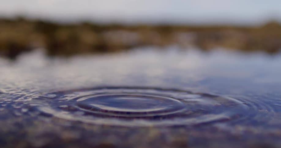 A drop of water splashes in the puddle
