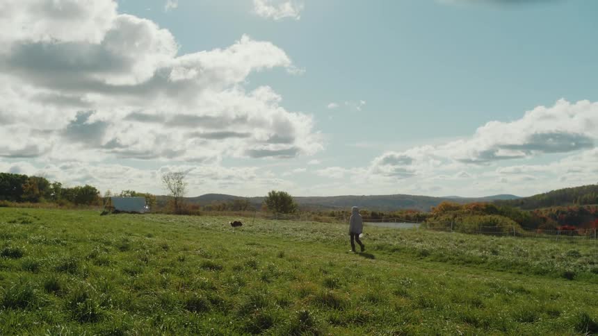 A dog runs ahead of a farmer carrying a bucket